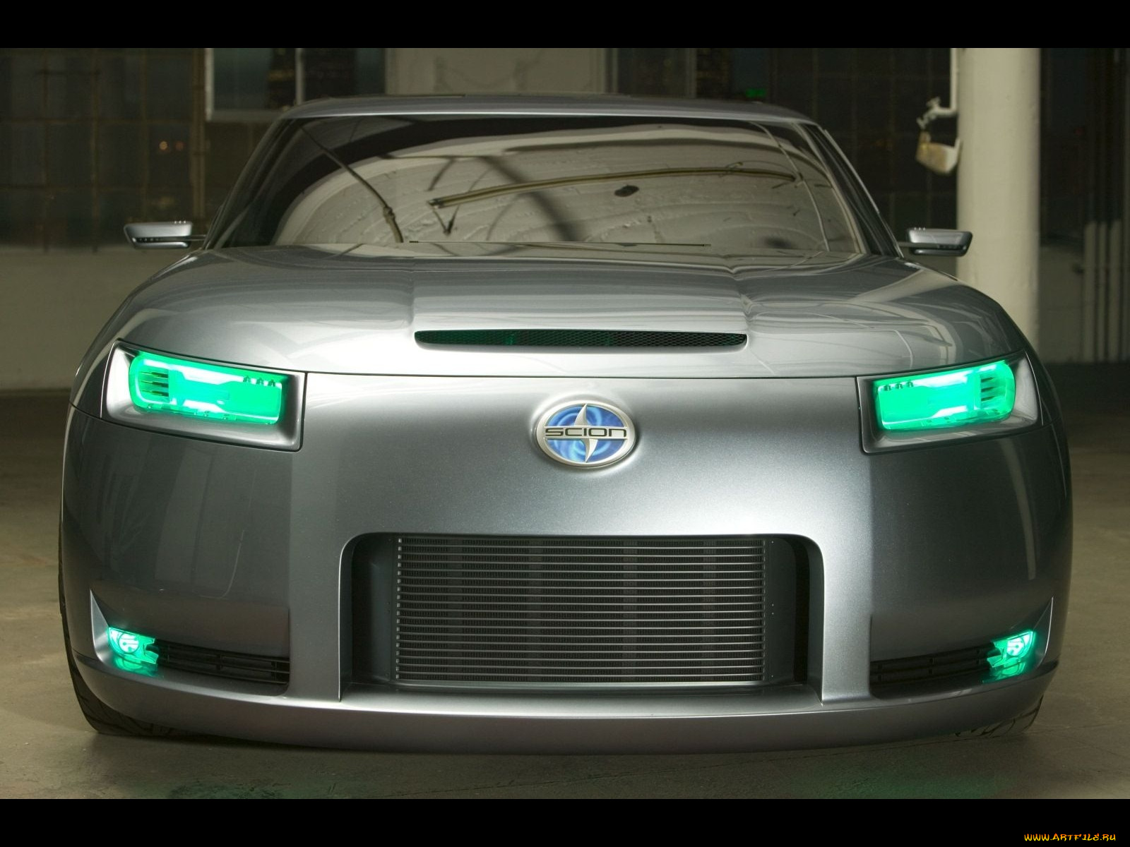 , scion